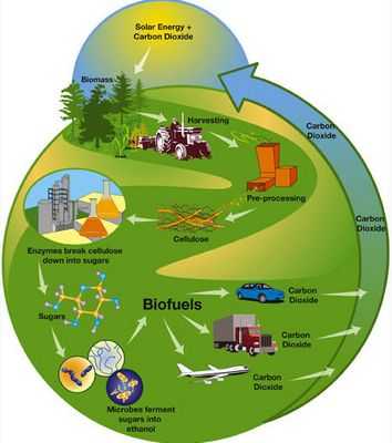 Команда использует побочный продукт целлюлозного биотоплива для увеличения выхода этанола