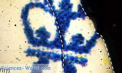 Новый оптический материал обеспечивает беспрецедентный контроль светового и теплового излучения