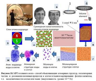 Современная интегрированная система визуализации позволяет картировать клетки мозга, отвечающие за память