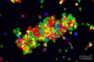 Технология квантовых точек может помочь осветить будущее
