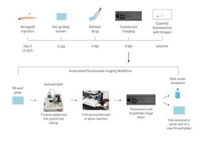 Важность стандартизации скрининговых исследований на наркотики