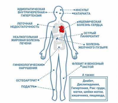 Гормоны сердца защищают от ожирения и инсулинорезистентности: повышенные уровни натрийуретических пептидов в жировой ткани защищают от последствий диеты с высоким содержанием жиров