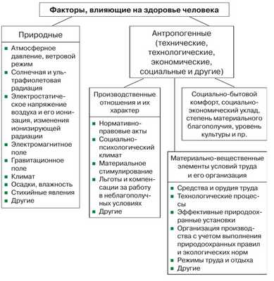 Исследователи показывают, что ваши дети - это то, что вы едите