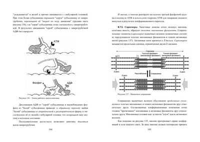 Микропловцы могут приводиться в движение и управляться с помощью света