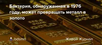 Некоторые бактерии производят крошечные золотые самородки, переваривая токсичные металлы