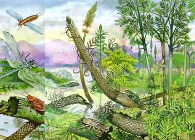 Сток каменноугольной смолы и герметика вызывает токсичность и повреждение ДНК