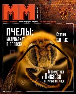 Ученые изучают связь между инсектицидами и здоровьем пчел