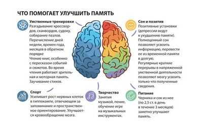 Как любопытство меняет мозг, улучшая обучение