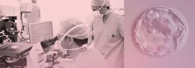 Первый ребенок родился после скрининга эмбрионов с использованием новой техники анализа генома