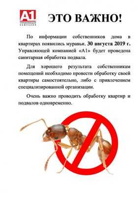 Насекомые могут быть ответом на потребительский спрос на большее количество белка