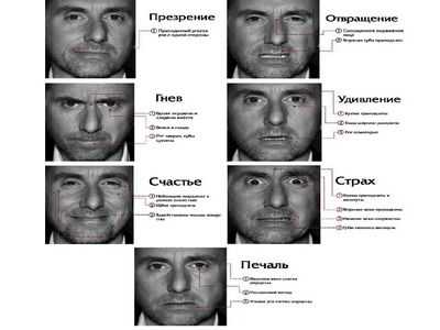 Позор нам: определение основных эмоций