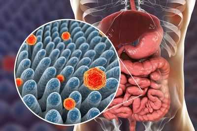 Бактерии кишечника защищены хозяином во время болезни