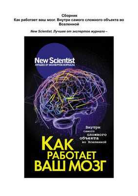 Исследование обнаружило новый механизм управления потоком информации в мозгу