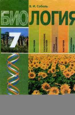 Можно кормить больше ртов, увеличивая количество пор растений: открытие небольших молекул, которые увеличивают количество устьиц на листьях растений