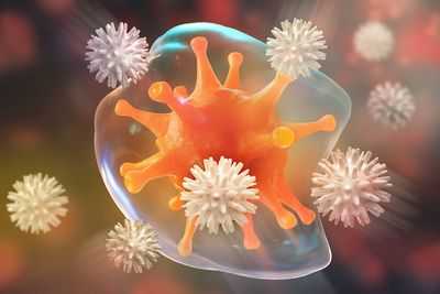 Предотвращение аутоиммунных заболеваний: уникальные способы связывания ингибиторов иммунопротеасом как основа для новых лекарств