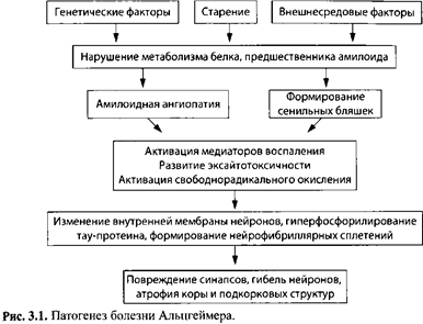 Амилоидные зонды расширяют возможности поиска причины болезни Альцгеймера: Molecule предлагает в режиме реального времени мониторинг бляшек, вызывающих заболевание