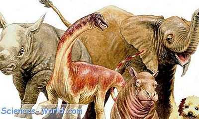 Недавно обнаруженный детеныш титанозавра проливает свет на ранние годы жизни динозавров: длинношеие динозавры-зауроподы - крупнейшие животные, когда-либо ходившие по суше