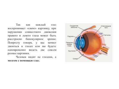 Новый метод айтрекера показывает &laquo;предпочтительное расположение сетчатки&raquo; на обоих глазах