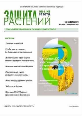 Разработано новое нанопокрытие с защитой от биопленки: обладает значительным антиадгезионным потенциалом для различных медицинских и промышленных применений