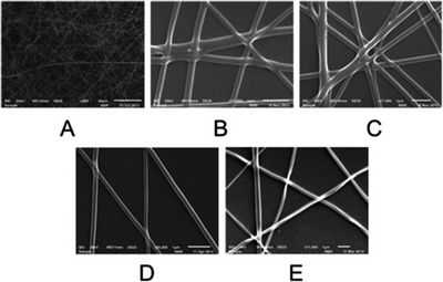 Сердечная ткань, выращенная на субстрате 