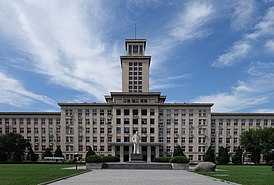 В честь университета назвали новый вид волшебных мух или мимаридских ос