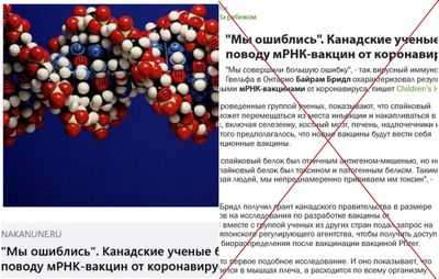 Вирусный белок трансформируется по мере измерения ДНК: новое понимание двух состояний вирусного белка раскрывает его функцию в качестве ДНК-сенсора и дает дорожную карту для разработки противовирусной терапии патогенных ДНК-вирусов