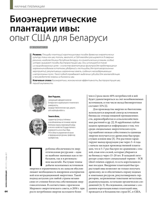 Лучшее использование всей биомассы ивы