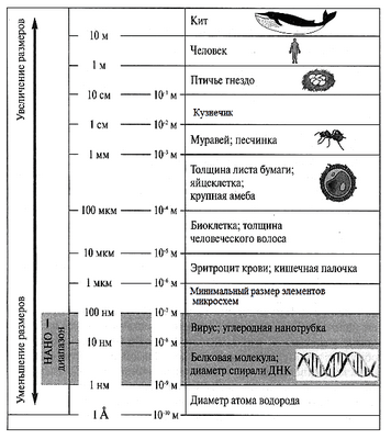 Разработка низкоразмерных наноматериалов может произвести революцию в технологиях будущего