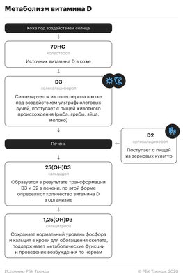 Воздействие солнца, уровни витамина D и смертность