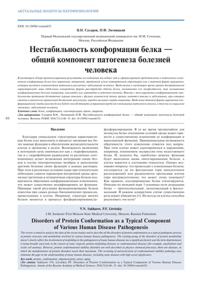 Открытие неожиданной функции белка, связанной с нейродегенеративными заболеваниями