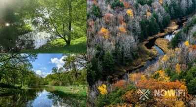 Пятна грунтовых вод играют важную роль в здоровье леса и качестве воды