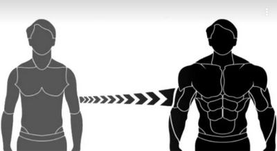 Напряжение запускает наращивание мышечной массы