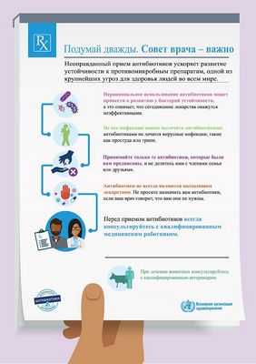 Новая модель плаценты может показать, как инфекции, вызывающие врожденный дефект, передаются от матери к ребенку