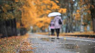 Солнечно, дождливо или облачно: новое исследование показывает, как погода влияет на реакцию на мобильную рекламу