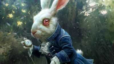 Убейте кролика: семья Нью-Брансуика помогает избавиться от инвазивных зайцев на снегоступах из группы отдаленных островов залива Фанди через пять десятилетий после их появления