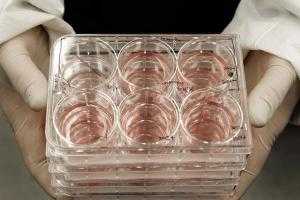 Помощь в регенерации сетчатки