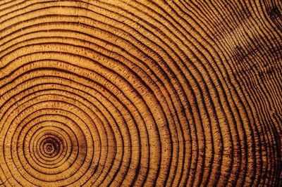 Рост галактики исследован как кольца дерева