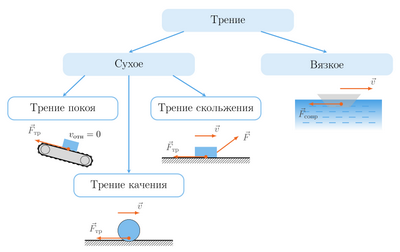 Трение, связанное с белками, помогает организовать деление клеток