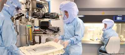 Исследователи разоблачают работу общего гена