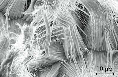 Нанопроволоки обладают необычно выраженными &laquo;неупругими&raquo; свойствами