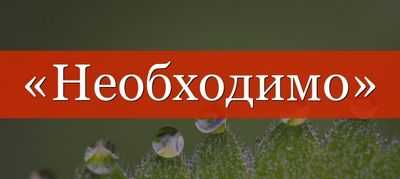 Необходимо побуждать пациентов проходить скрининг на рак толстой кишки? Попробуйте лотерею