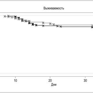 Новое исследование проливает свет на удовлетворенность жизнью и риск смерти у пожилых людей
