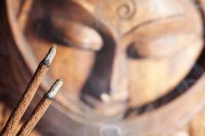 Обонятельные рецепторы в коже: запах сандалового дерева способствует заживлению ран и регенерации кожи