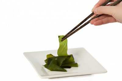 Морские водоросли: от суперпродукта до сверхпроводника