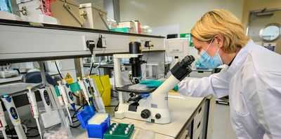 Почему лекарства от болезни Альцгеймера работают в лаборатории, а не у пациентов