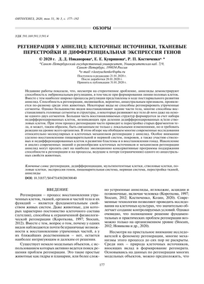 Различные клеточные механизмы регенерированных частей тела