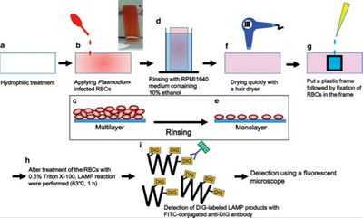 Высокочувствительное обнаружение паразитов малярии