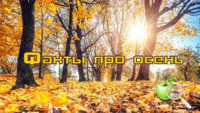 Исследования показывают, что в северном полушарии осень заканчивается позже