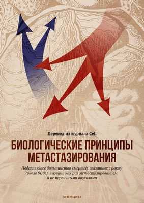 Сигнал к распространению: выявлен мощный фактор метастазирования рака