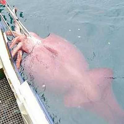 Ученые совершили гигантский скачок в борьбе со старением